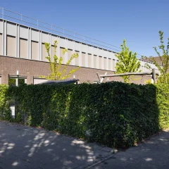 Bso+ Venetiëstraat